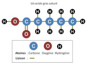 acide-gras-sature-sauvonsnotrepeau.fr
