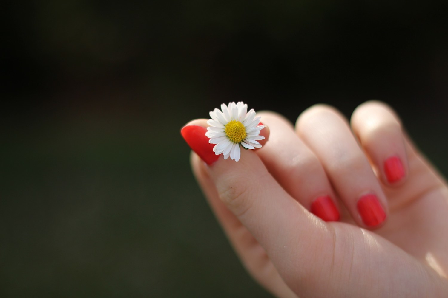 marque-vernis-ongle-sain-hypotoxique